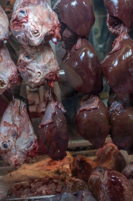 Incorporating Beef liver‌ into Your​ Diet: Tips and Recommendations