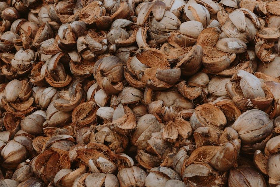 Enhancing​ Soil‍ Fertility Through‍ Organic Matter Recycling