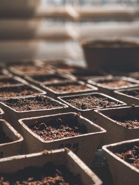 Evaluating the​ Benefits for Busy‌ Plant Enthusiasts