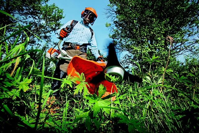 Must-Have ‌Tools‌ for‍ Beginner Gardeners
