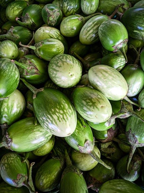 Exploring the Benefits ⁣of ​Plant-Based⁣ Nutrition ‍for Weight ​Management