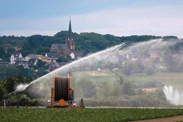 Understanding ⁣the Importance of Garden ‍Hose Reels for​ Efficient Watering