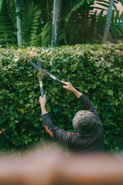 Practical Recommendations for ⁣Choosing the Right​ Model