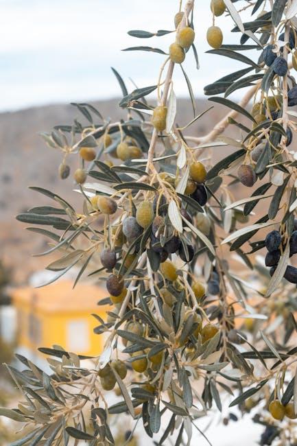 Exploring the Powerful Antioxidant Effects of ​Polyphenols