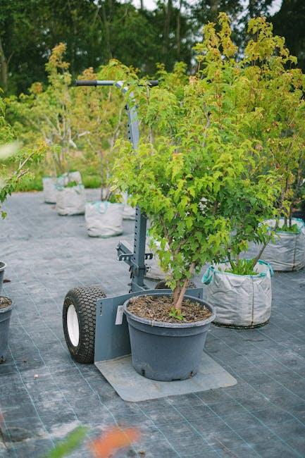 Essential upgrades for Professional Gardeners