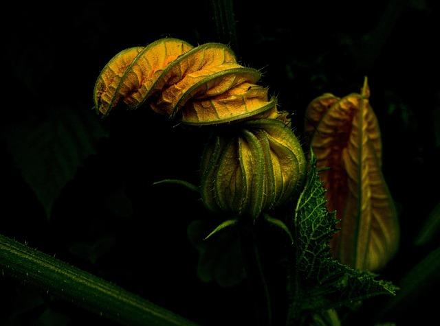 Evaluating Texture: Maintaining Freshness ​and Quality