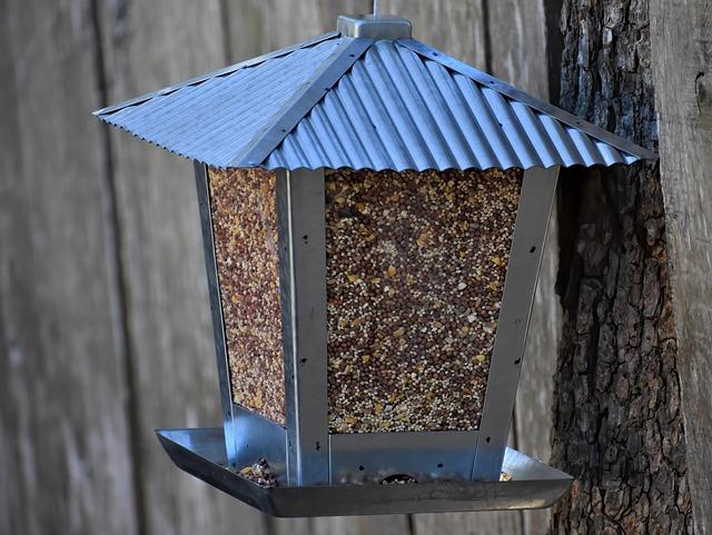 Choosing the Right Bird⁤ Feeder for your ​Garden Environment