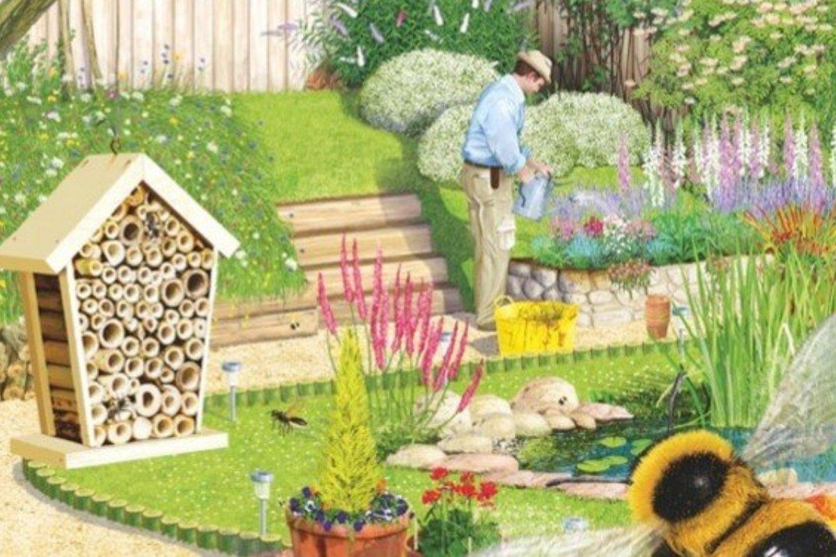 Creating a Wildlife-Kind Habitat Beyond Feeders and Baths