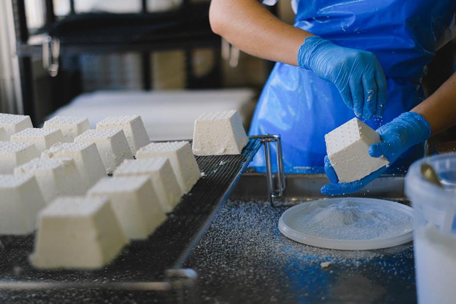 Exploring the Art of Cheesemaking in Gourmet Clubs