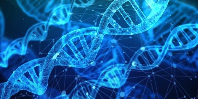 Unlocking the Role of Genetics in nutritional Needs