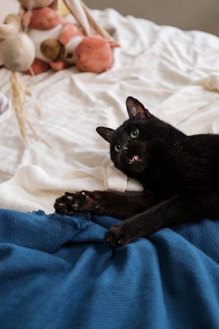 Top Brands Committed to Eco-Conscious Pet Products