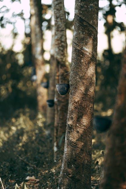 Exploring the Benefits of Organic Latex in plushbeds Botanical Bliss