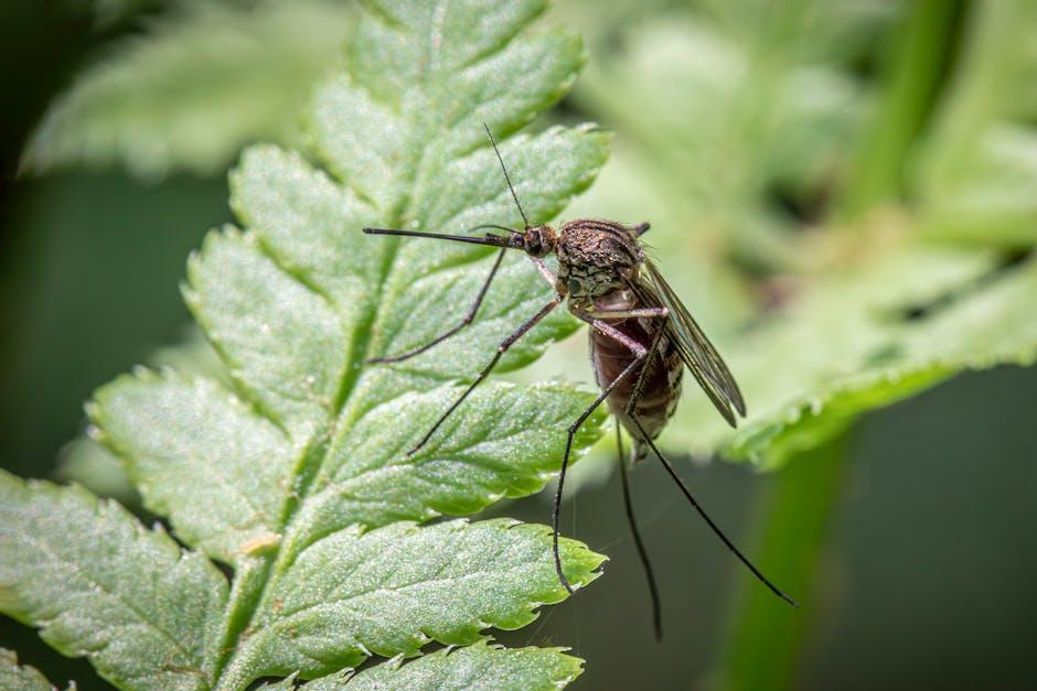Understanding the Science Behind Mosquito Repellent⁢ Lanterns