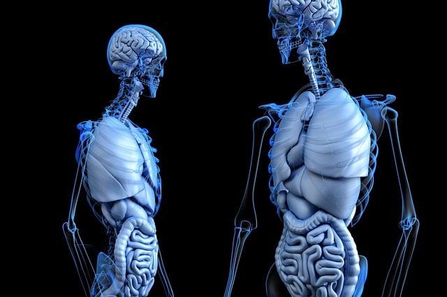 The Science Behind Gut Health: Why Fermented Foods Matter