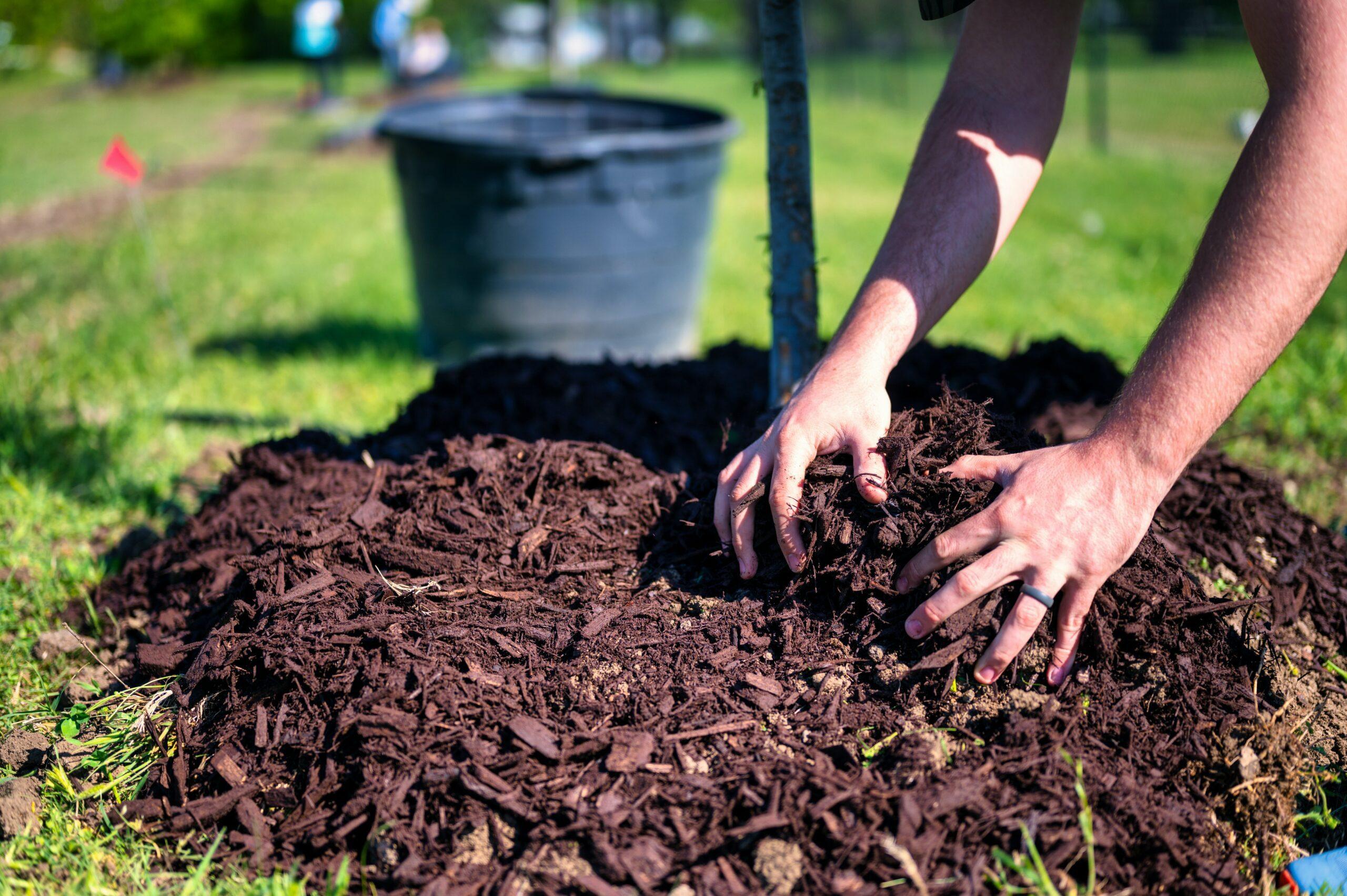 Best Practices for Effective‌ Mulching to Maximize Lawn⁣ Maintenance