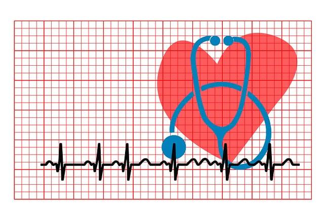 maximizing Performance with Precision Heart Rate Monitoring