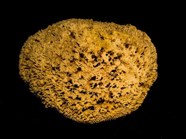 Maximizing Lifespan and Efficiency:‌ Tips for Using Compostable Sponges