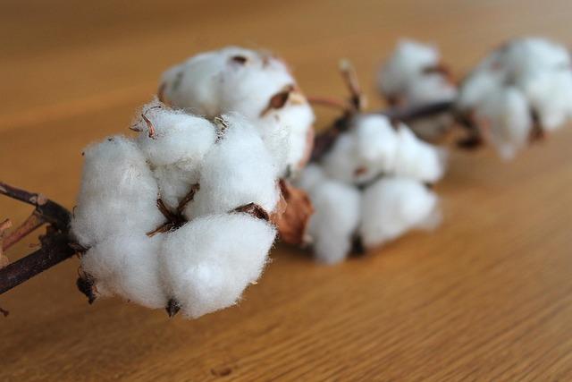 Exploring the ​Comfort: Understanding the ‍Softness of Recycled Cotton