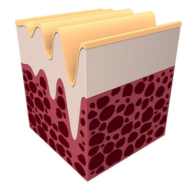 The ‌Role of‌ Collagen ‍in Joint ​Health and mobility