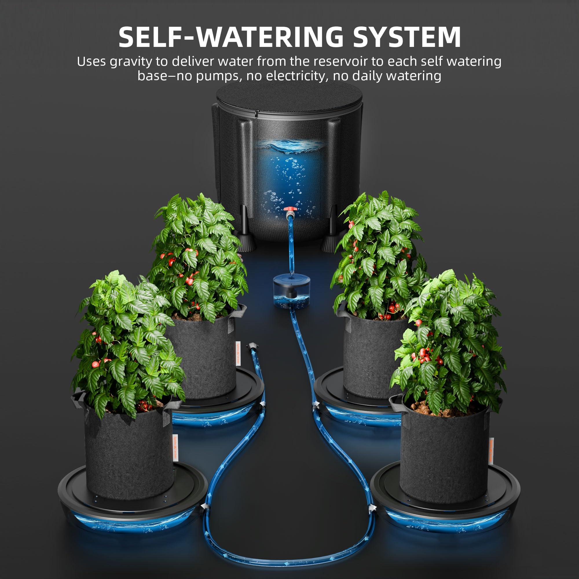 Tips for Maximizing the Effectiveness of Self-Watering Systems