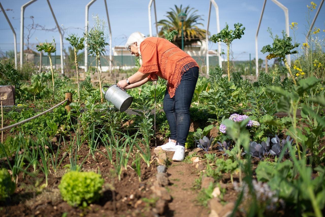 Lasting Practices to Enhance Growth⁢ and soil Health